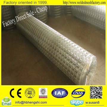 China supplier Galvanised weld mesh roll