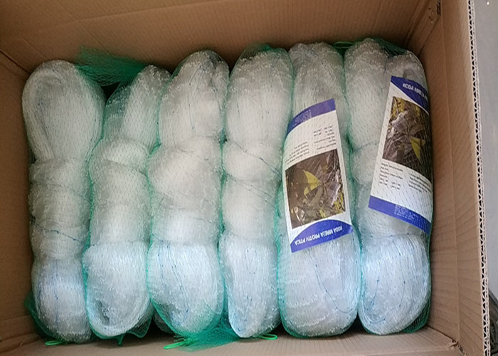 מטפס על צמחים נטו נטו חקלאות נטו