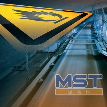 Nylon(NN) Flame Resistant Conveyor Belts