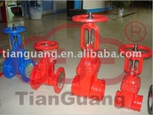 Gate Valve