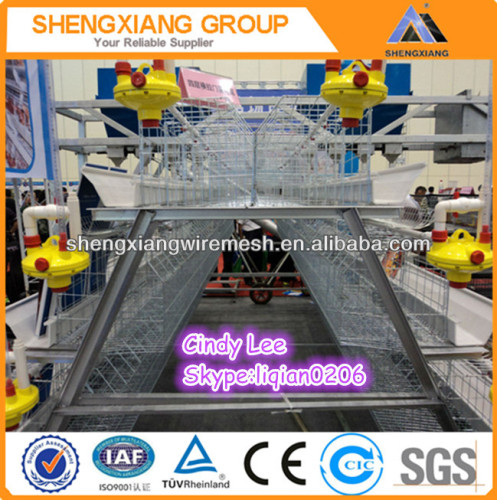 ISO9001 Poultry Equipment Layer Chicken Cages For Sale(20 years' factory)