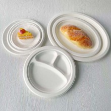 Big oval plate bagasse 12.5 inch plate