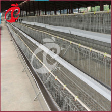 Poultry Farm A Type Layer Galvanized Egg Chicken Cage in Kenya