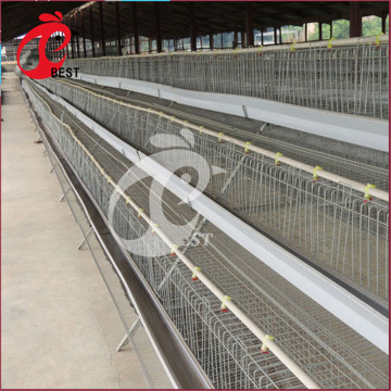 Poultry Farm A Type Layer Galvanized Egg Chicken Cage in Kenya