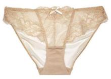 Semi Sheer Lace Low Rise Pretty Girls Bikinis Mesh Panties