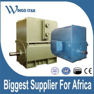 high voltage high-voltage induction electric motor