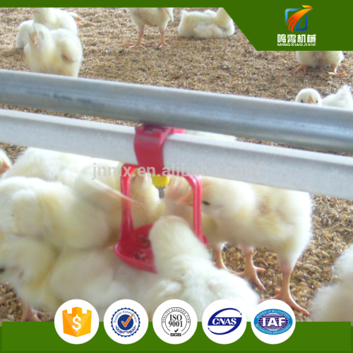 poultry international farm feeding equipment system