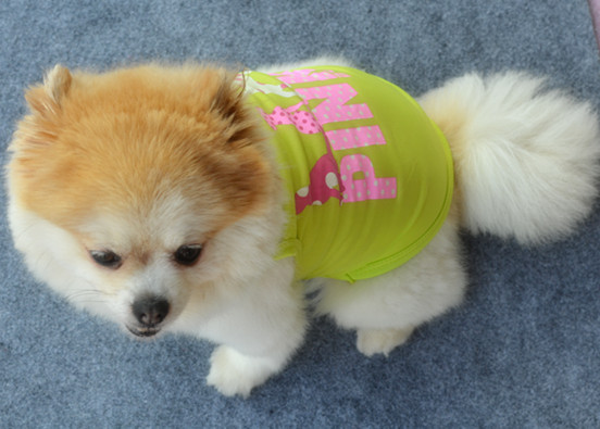 Pet Clothing Summer Breathable for Dogs Cool Polyester Vest Dog Clothes Vest Wholesale