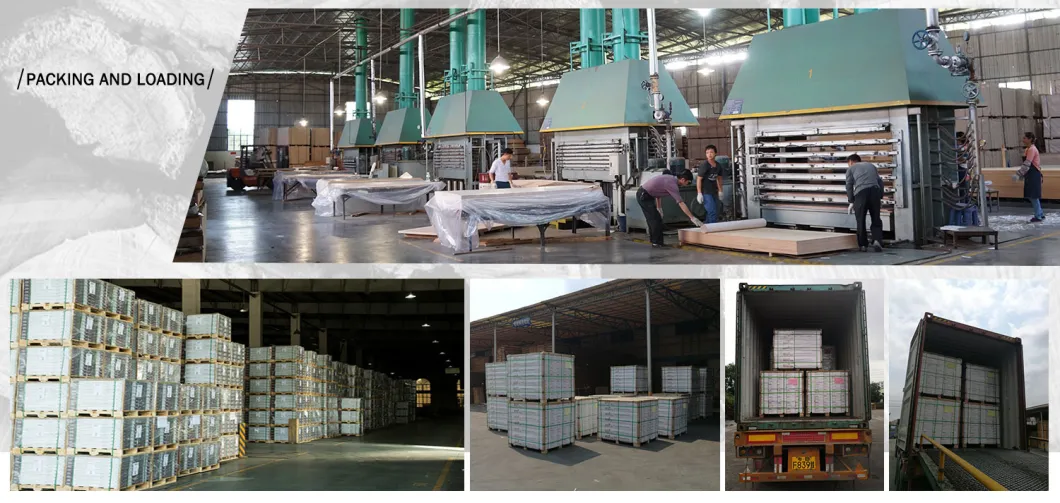 12mm Maple Wood Floor Laminated Flooring Manufacturers China