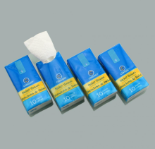 Ten pieces of bulk tissues