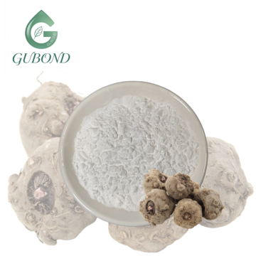 High Purity Konjac Glucomannan Powder Plant Fiber Extract