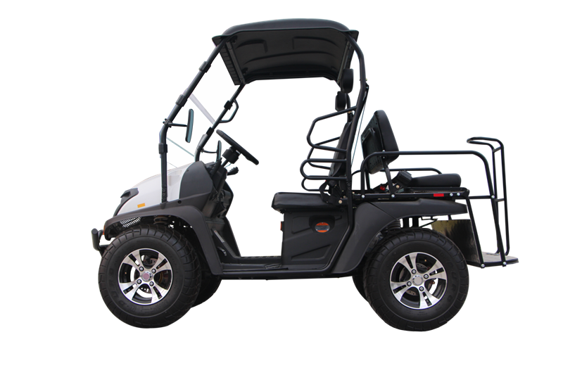 2021 Venta caliente de alta calidad 5KW Electric UTV EEC Electric Cart