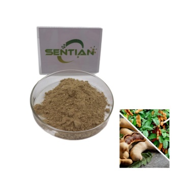 Tamarind Seed Extract powder