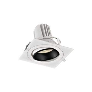 Bright Star Powerful 38W LED Downlight