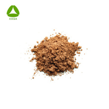 Female Healthcare 10:1 Labisia Pumila Extract Powder