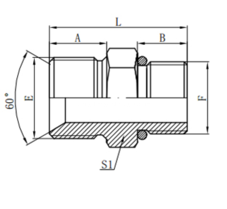 Double Male Adaptor