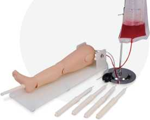 Child Bone Marrow and Femoral Vein Puncture