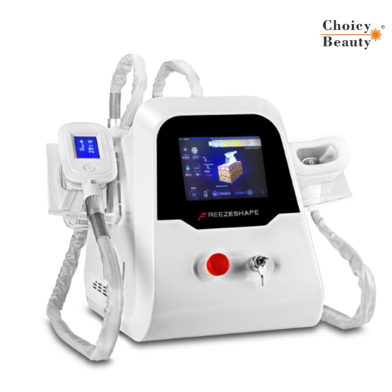 Cryolipolysis Cold Body Sculpting Portable Machine