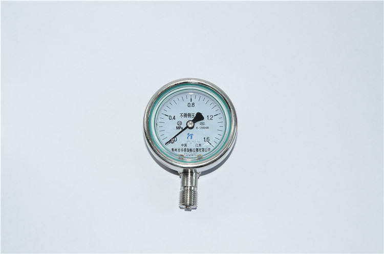 Marine Shockproof Pressure Gauge