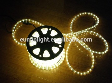 dmx controlled rope light