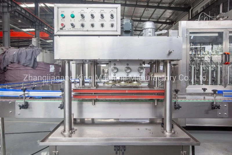 Automatic Piston Liquid Chemical Filling Machine Plant