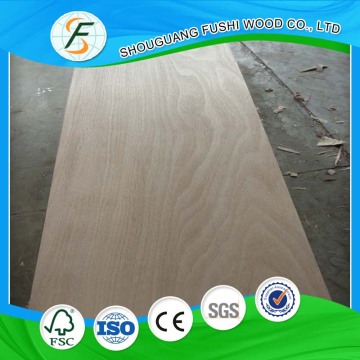 ASH Plywood Door Skins
