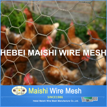 galvanized chicken wire poultry mesh