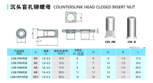 Countersunk Head Closed Rivet Nut