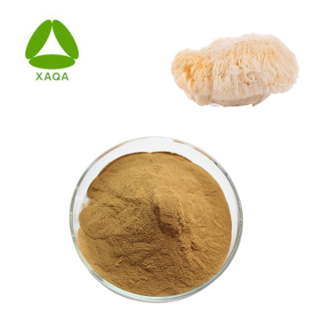 Hericium Erinaceus Powder Экстракт гриба льва