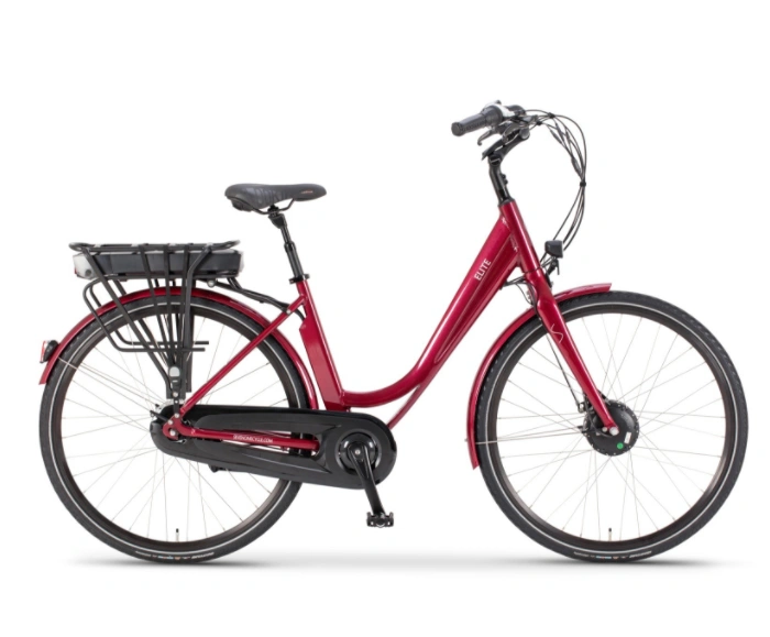 Wholesale Women City Electric Bike with Shimano Nexus 7-Speed