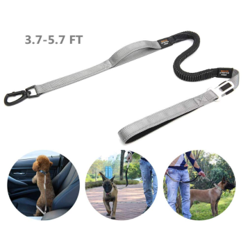 2 Paded Handles Dog Leash