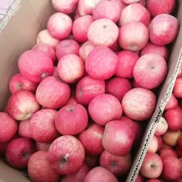 fresh western red sweet paper bag fuji apples