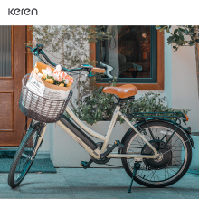 Intelligent Torque Sensor Pedal Assist E-Bike with Battery for Women