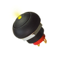 IP67 Round Cap LED Illuminated Push Button Switches