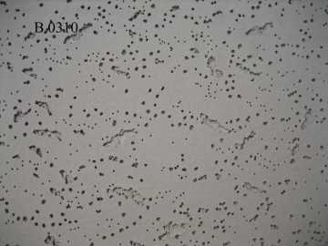 mineral fiber ceiling