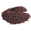 Perilla Seeds High Quality