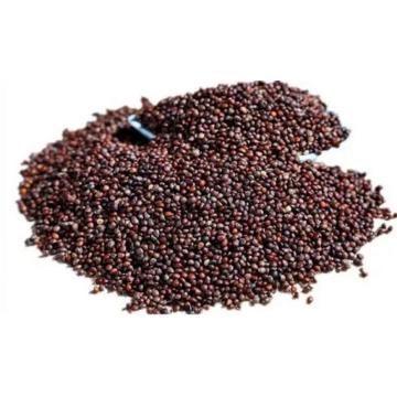 Perilla Seeds High Quality
