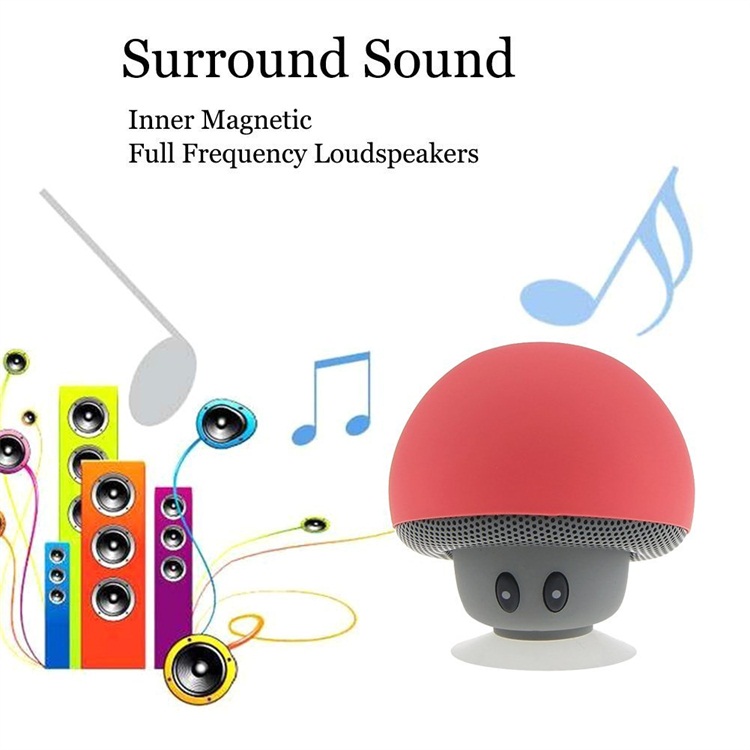 Rechargeable Portable Speaker