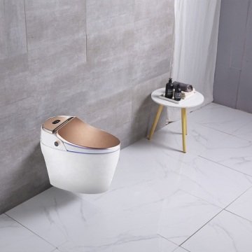 One Piece Intelligente Wasser Roségold Smart Toilette