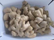 2020 Crop Air Dry Ginger