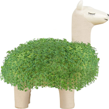 Custom Wholesale Anime Chia Pet: Fluffy Llama Ceramic Planter