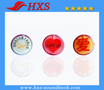 OEM Appearance Plastic Flashing Light Module