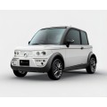 2022 Новая модель быстрого электромобиля EV Chinse Huazi Маленькие электромобили с надежным качеством многоцветной 4WD EV