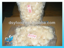 Frozen scallop meat