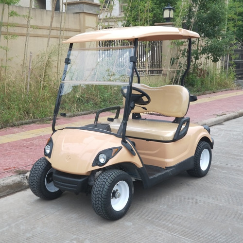 good price 2 seats cheap golf kart sale