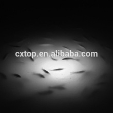 Night Fishing White LED Light