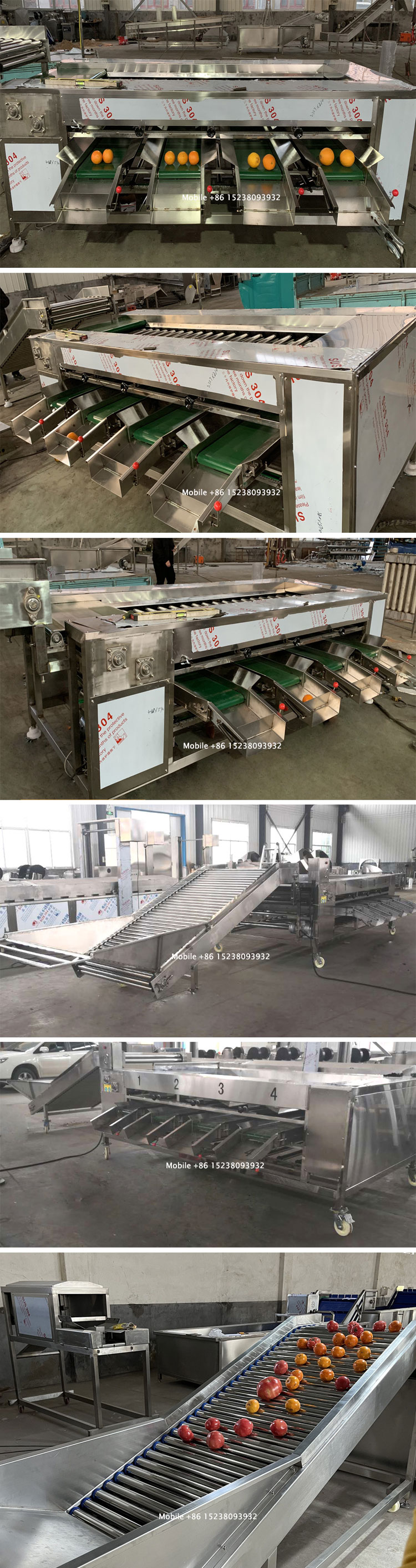 Automatic Fruit Grading Machine Vegetable Sorting Machine Fruit Apple Orange Potato Tomato Sorting Machine