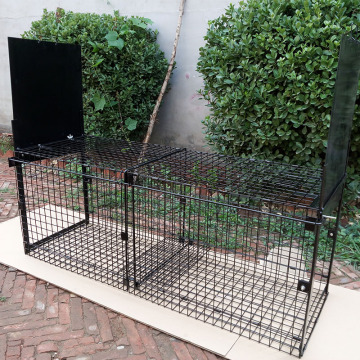 Double Door Entry Folding Fox Trap Cage