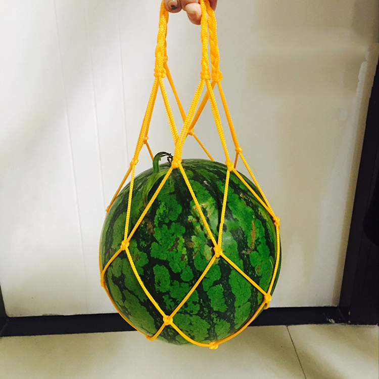 Greenhouse Fruit Growing Net Bag