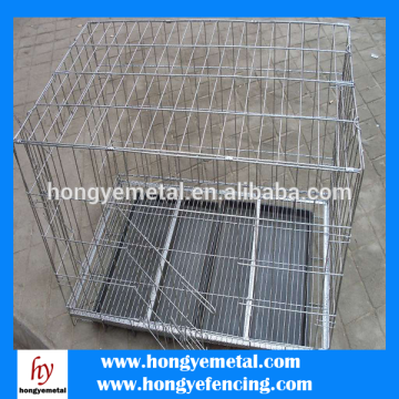 Bird Cage Export